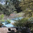 괴정2동-20 이미지