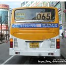 블루클럽화정점