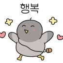 스캔앤바디 이미지