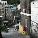 울릉도 숙소 추천 : 노부돌할머니의 부산민박