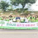 감사나무 뉴시스