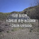 의령공인중개사사무소 이미지