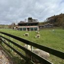 상경목장 이미지