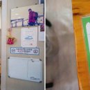 대나무 생숯 장어구이 이미지