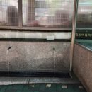 중산마을 약수터 이미지