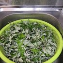 달맞이공원 화장실 이미지