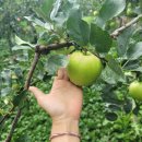 큰골농원 이미지