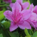 죽림폭포 공원 이미지