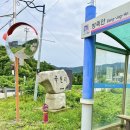 세븐일레븐 안성남사당점 이미지