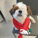 푸른온누리약국 이미지