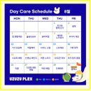 우쭈쭈플렉스 강아지 미용 이미지