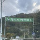 프라이빗 웰니스 | 자연 속 프라이빗 힐링! 가평 더웰니스풀빌라&amp;스파 리얼 후기