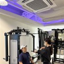 플랑크(plank) | [잠실PT]발란아워GYM&PT