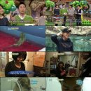 쌈바농장 이미지