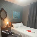 빌라노하마다 | 제주 펜션 5인 가족이 머문 독채 민박 빌라노하마다 후기