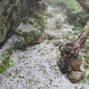 칠수농장 이미지