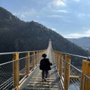 209 | 신축 충남 금산자연휴양림 209호 졸참나무 방문후기