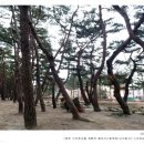 용두산산림욕장 네이버블로그