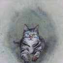 권민경