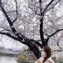 오늘도 참 예쁘다 이미지