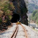 산촌캠프펜션 이미지