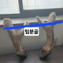 해수원한의원 이미지