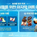 미르 게임동아