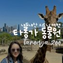 (주)양호 | 타롱가주 입장권 할인 예약 방법과 페리 시간표 총정리