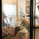 FloresdeMayo오월의꽃 네이버블로그