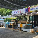 [삼척여행 1탄]행복,여유 미쳤던 여름휴가🐟 | 순두부 짬뽕 초당애 | 장호항 스노쿨링 | 노마드펜션 |