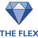 더플렉스(The Flex) 디지털타임스