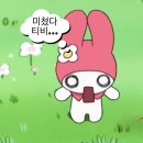 형곡D/C마트 | 강원도 삼척 [장호비치캠핑장] C구역, C5 후기🖤