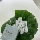 대바기네