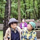 우면산3-25 이미지