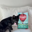 피피독 | 웰츠 독 어덜트 체험 후기｜육류 80% 프리미엄 그레인프리사료