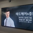 테드헤어 - 용인시 처인구 | 테드헤어