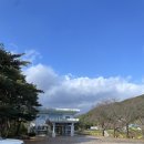 육모정 | 속초 흑백 셀프 사진관 추천 육모정상점 방문후기