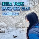 한라산 등산코스 시간 : 등산 초보의 관음사 성판악 백록담 후기! 설산 준비물