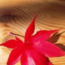 미리내팬션 이미지