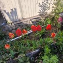 상하이한의원 이미지