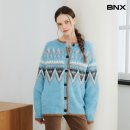 비엔엑스 카카오 검색결과