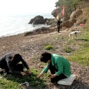 서해돌꽃펜션 이미지