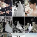 더노이 | W3. 본식스냅 노이프로젝트 계약 후기 | 더베뉴지서울 베뉴지홀