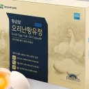 황금오리알 이미지