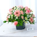 서양꽃꽂이-반구형 이미지