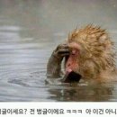 싱싱하우스 - 강동구 구천면로35길 24-3 | 싱싱하우스