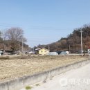 신암1리 이미지