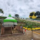 도인농장 이미지