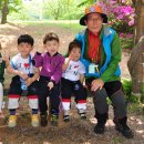 신미라유치원 Daum카페
