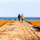 신세계목장 이미지